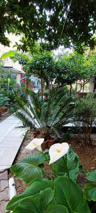 Santana Hotel 贝尔迪比 外观 照片
