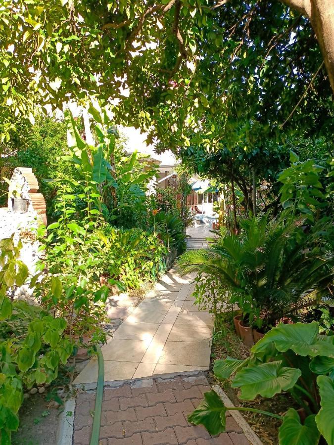 Santana Hotel 贝尔迪比 外观 照片